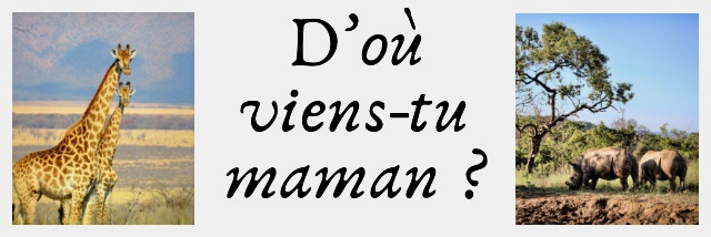 « Image du livre d’où viens-tu maman »